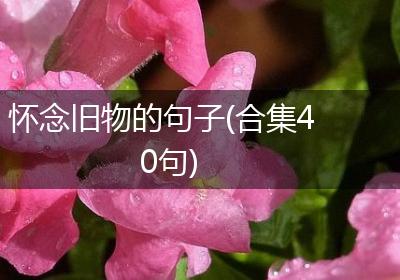 怀念旧物的句子(合集40句)