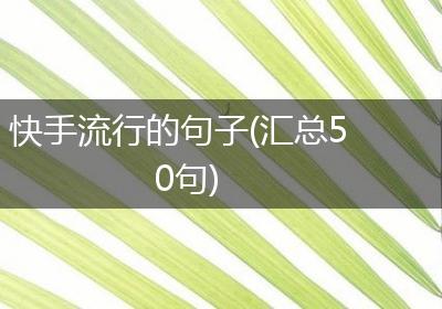 快手流行的句子(汇总50句)
