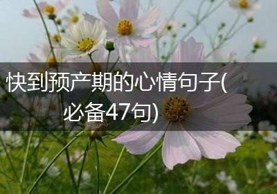 快到预产期的心情句子(必备47句)
