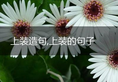 上装造句,上装的句子