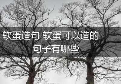 软蛋造句 软蛋可以造的句子有哪些