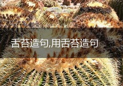 舌苔造句,用舌苔造句