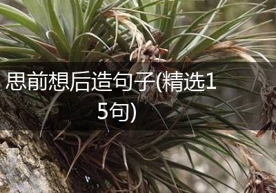 思前想后造句子(精选15句)