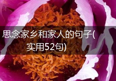 思念家乡和家人的句子(实用52句)