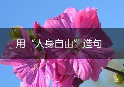 用“人身自由”造句