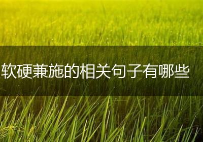 软硬兼施的相关句子有哪些
