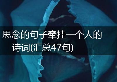 思念的句子牵挂一个人的诗词(汇总47句)