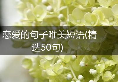 恋爱的句子唯美短语(精选50句)