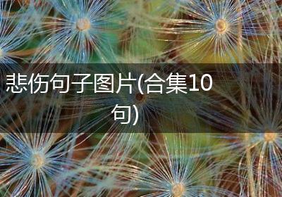 悲伤句子图片(合集10句)
