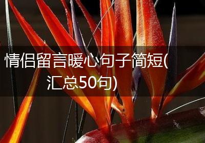 情侣留言暖心句子简短(汇总50句)