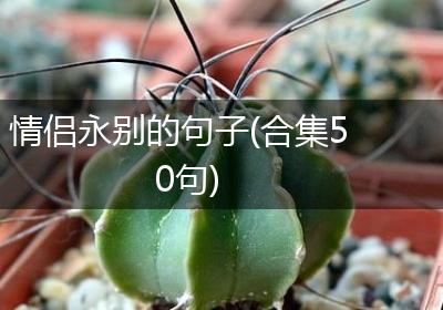 情侣永别的句子(合集50句)
