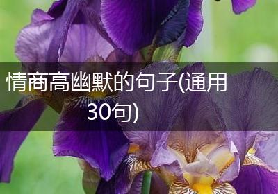 情商高幽默的句子(通用30句)