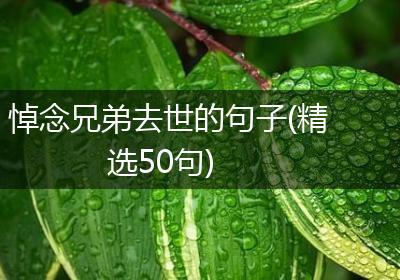 悼念兄弟去世的句子(精选50句)