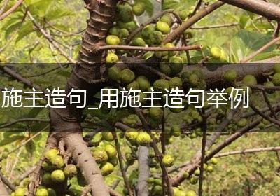 施主造句_用施主造句举例