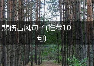 悲伤古风句子(推荐10句)