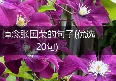 悼念张国荣的句子(优选20句)