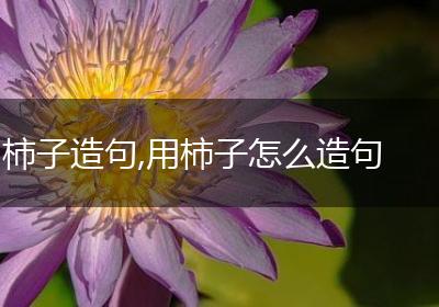 柿子造句,用柿子怎么造句