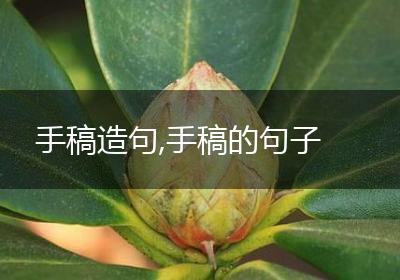 手稿造句,手稿的句子