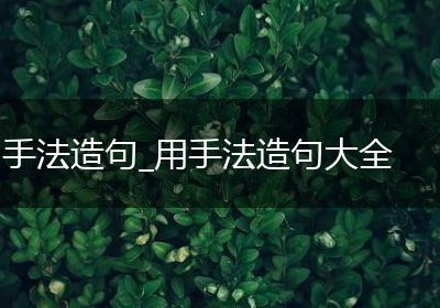 手法造句_用手法造句大全