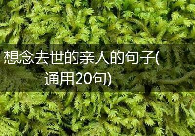 想念去世的亲人的句子(通用20句)