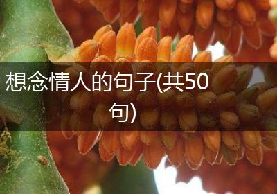 想念情人的句子(共50句)