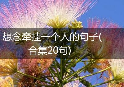 想念牵挂一个人的句子(合集20句)