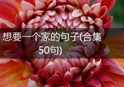 想要一个家的句子(合集50句)