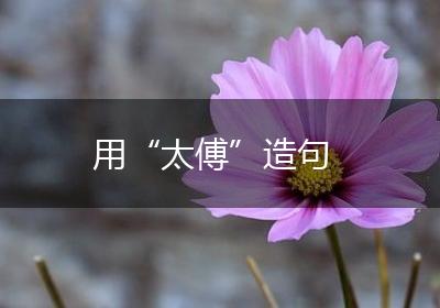 用“太傅”造句