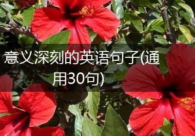 意义深刻的英语句子(通用30句)