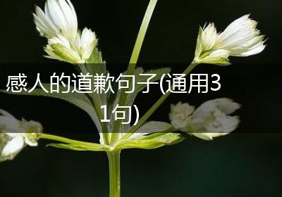 感人的道歉句子(通用31句)