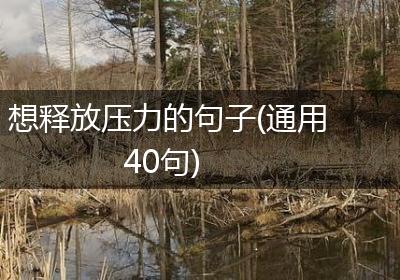 想释放压力的句子(通用40句)