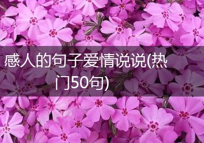 感人的句子爱情说说(热门50句)