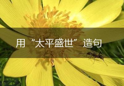 用“太平盛世”造句