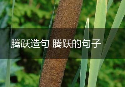 腾跃造句 腾跃的句子