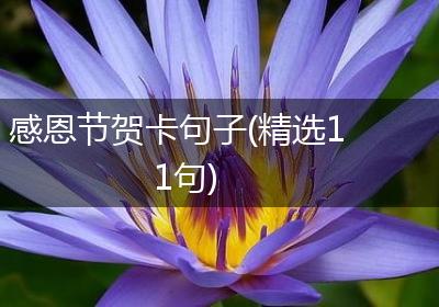 感恩节贺卡句子(精选11句)