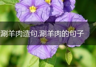 涮羊肉造句,涮羊肉的句子