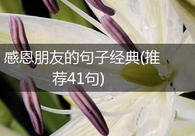 感恩朋友的句子经典(推荐41句)