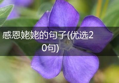 感恩姥姥的句子(优选20句)