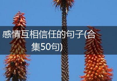 感情互相信任的句子(合集50句)