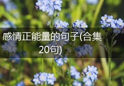 感情正能量的句子(合集20句)