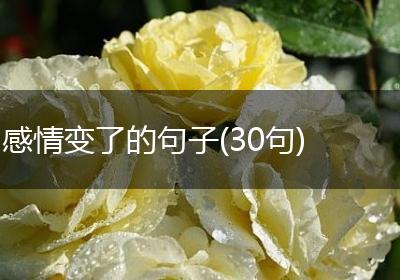 感情变了的句子(30句)
