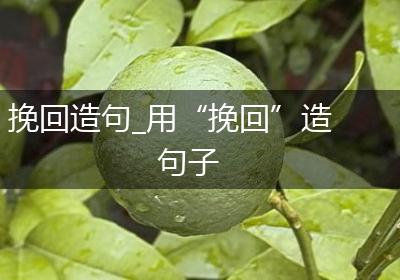 挽回造句_用“挽回”造句子
