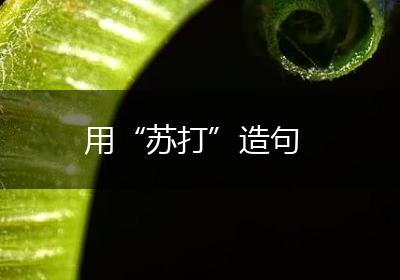 用“苏打”造句