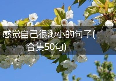 感觉自己很渺小的句子(合集50句)