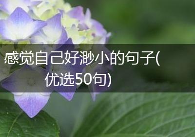 感觉自己好渺小的句子(优选50句)