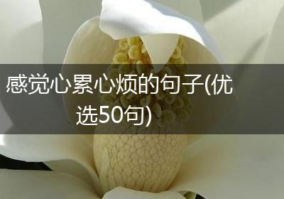感觉心累心烦的句子(优选50句)