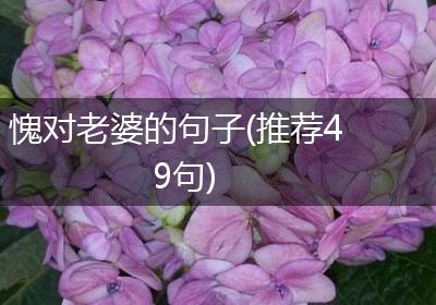愧对老婆的句子(推荐49句)