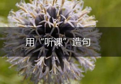 用“听课”造句