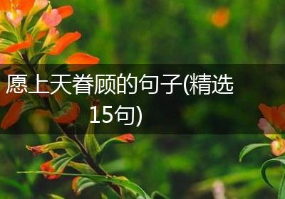 愿上天眷顾的句子(精选15句)