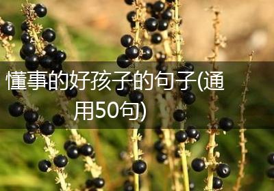 懂事的好孩子的句子(通用50句)